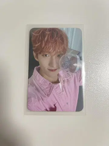 SEVENTEEN 2023 케렌 도겸 캐럿존