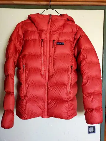 patagonia 남성용 피츠로이 다운 후디 XS