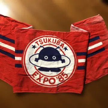TSUKUBA EXPO '83 타월