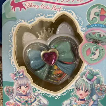 샤이니 캣츠 팩트
