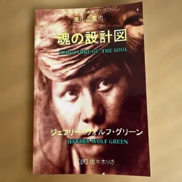 영혼의 설계도 제프리 울프 그린