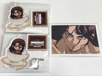 Dr.STONE AMOCAFE 사자왕 사 아크릴 스탠드 키링