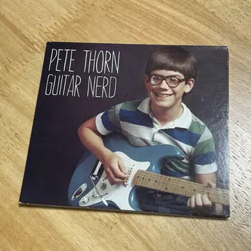 Pete Thorn Guitar Nerd 피트 손 기타 인스트