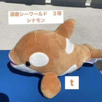 스마 시월드 범고래 봉제 인형 3등 시나몬