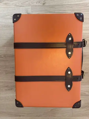 GLOBE-TROTTER / 센테너리 / 캐리온 21인치 2륜