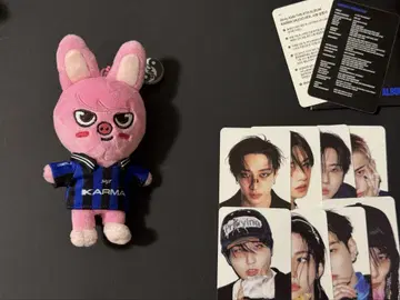 karma skzoo ver 봉제 인형 키링 돼끼 창빈