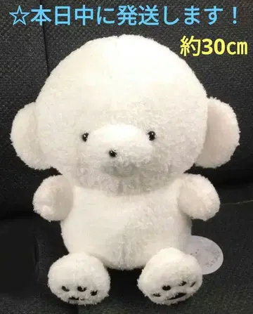 [조세마루 BIG 봉제 인형 [조세마루]]