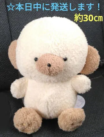 [ 라운드원 한정판 죠세마루 BIG 봉제 인형 [ 라테 ] ]