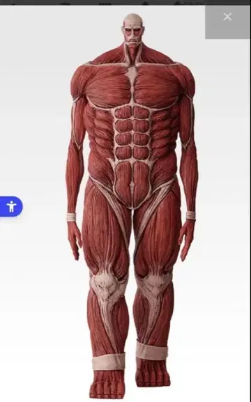 진격의 거인 제일복권 라스트 원상 초 대형 거인
