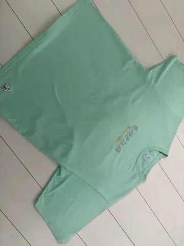 FR2 월 복숭아 L