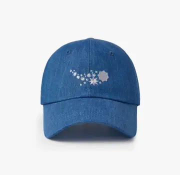 [ 새상품 ] BTS 2025 FESTA Ball Cap 모자