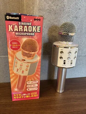 핸디 가라오케 마이크 실버