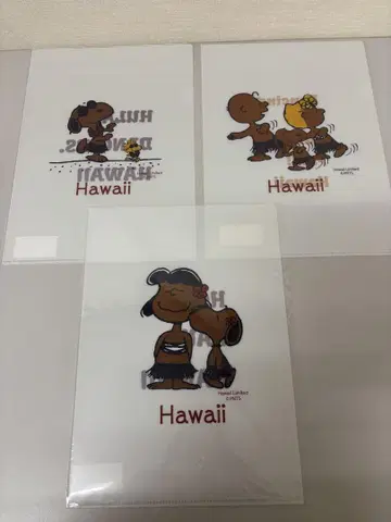 스누피 클리어 파일 일광화상 하와이 SURF'S UP PEANUTS
