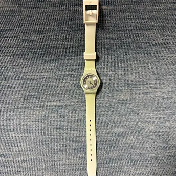스와치 ORIGINALS SERENITY OF SAGE LG131