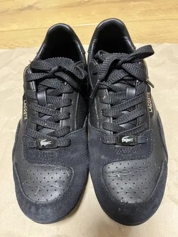 라코스테 하포나 LACOSTE HAPONA