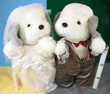 우메키치 아야카 웨딩