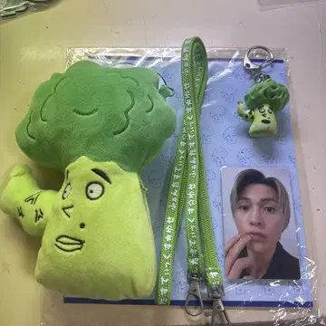 야기 유세이 야기코리 세트