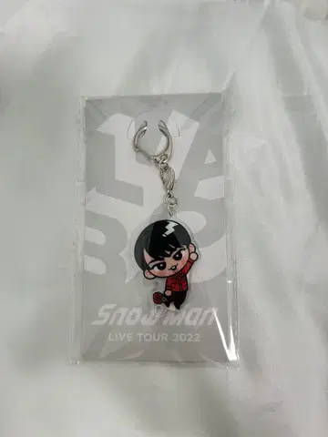 Snow Man LIVE TOUR 2022 키링