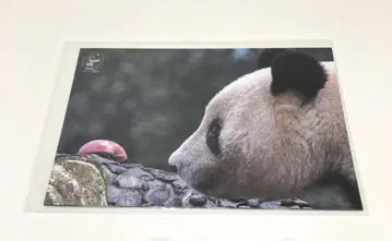 우에노 팬더 추석 엽서 샹샹 샤오샤오 레이레이