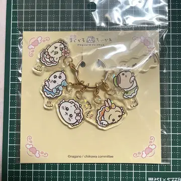 치이카와 참 3