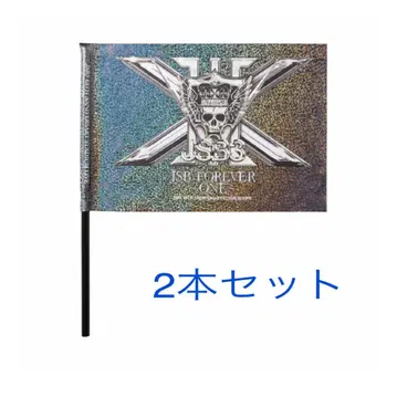 2개 세트 JSB FOREVER ONE 플래그