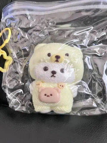 곰돌이 스퀴즈