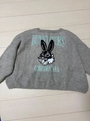 BUNNYSTERS 컬러 니트탑