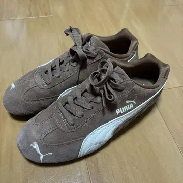 PUMA 스피드캣 인기 모델