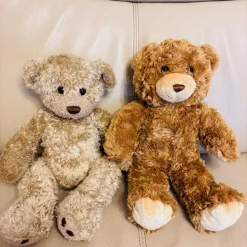 [ 묶음 판매 ] build a bear 빌더베어 테디베어 곰 봉제 인형
