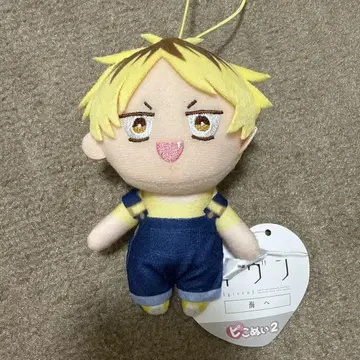 기븐 피코누이 2 카시마 히이라기