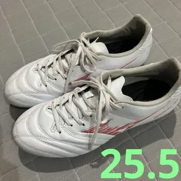 미즈노 모나르시다 네오 3 SW