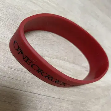 ONE OK ROCK WHO ARE You?? TOUR 러버 밴드