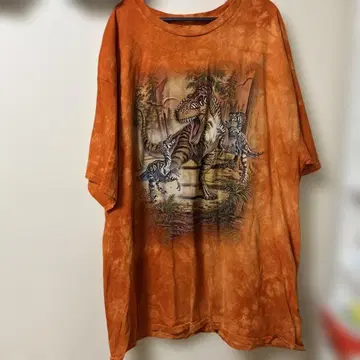 더 마운틴 3XL USED USA 구제 의류 공룡 반팔 티 타이다이