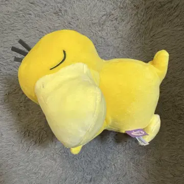 새근새근 프렌드 코닥
