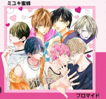 봄몬, 길고양이, 건방진 브로마이드