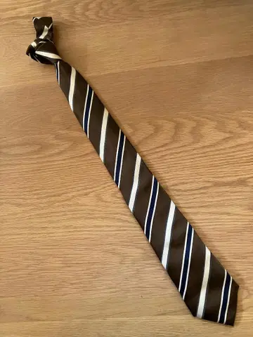 Ermenegildo Zegna 넥타이 10