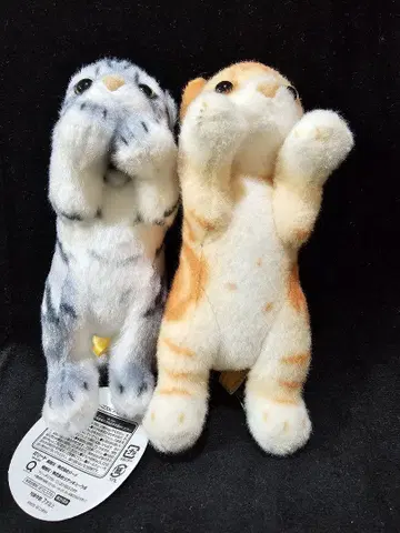 타치 Zoo 냥코 mini9 봉제 인형 2체 세트