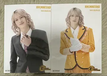 EBiDAN museum 전반기 후반기 입장 혜택 MORRIE