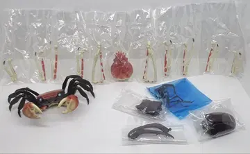 생물대도감 게 장수풍뎅이 피규어