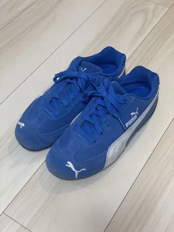 스피도캣 푸마 PUMA Speed cat OG blue 파랑