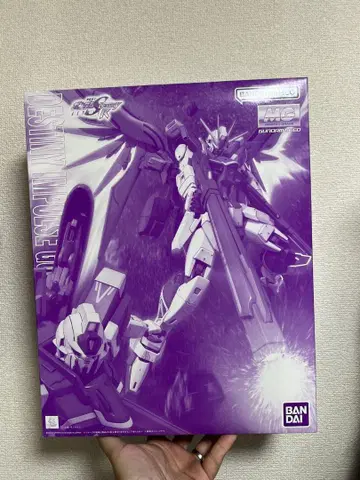 MG 1/100 데스티니 임펄스 건담 R (리제네스)