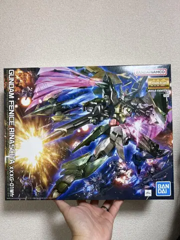 MG 1/100 건담 페니체 리나시타