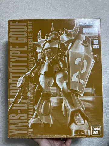 MG 1/100 프로토타입 구프