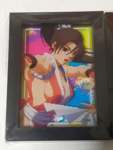 시라누이 마이 KOF SNK 마그넷 아랑전설