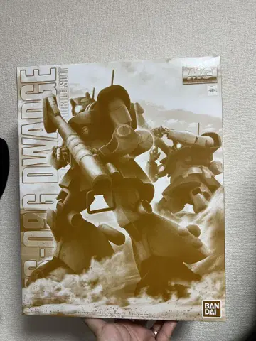 MG 1/100 도와지