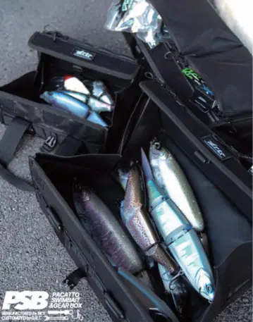 DRT 파컷 박스 L 사이즈 Swimbait Gearbox