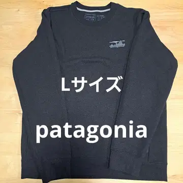 patagonia 파타고니아 트레이닝복 L 사이즈