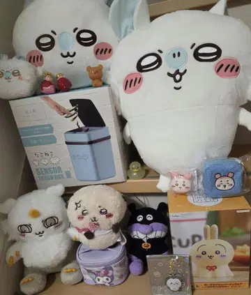 여러가지 세트