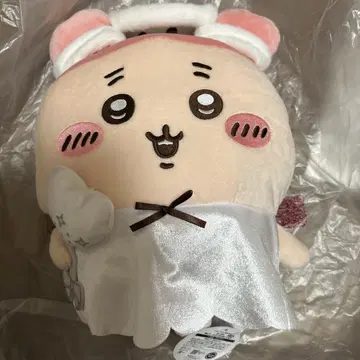 치이카와 (먼작귀) 헌책방 카니짱
