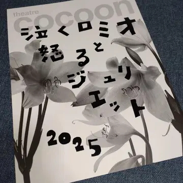 셰익스피어 로미오와 줄리엣 2025